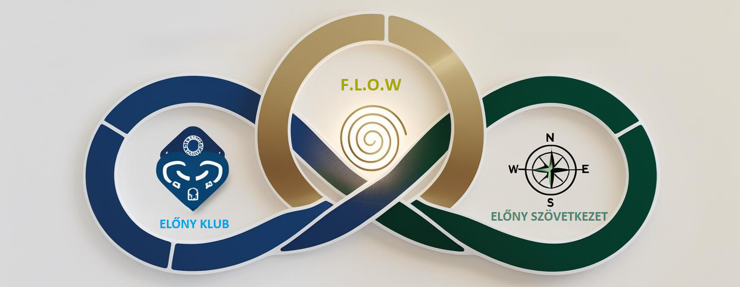 A F.L.O.W. mögötti összehangolt védőháló